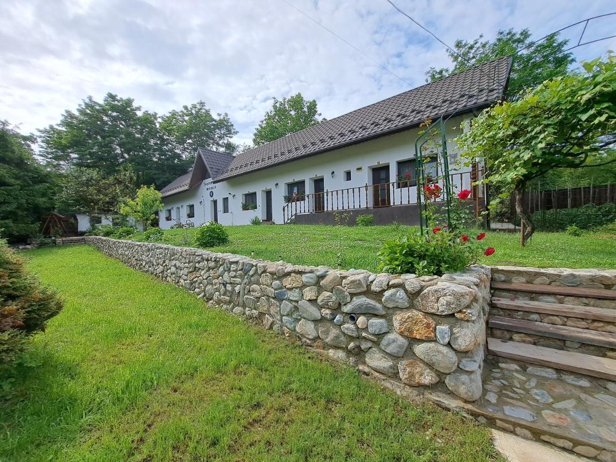 Casa Morii Ohaba Villa Exterior photo